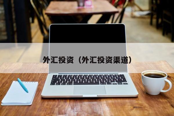 外汇投资（外汇投资渠道）