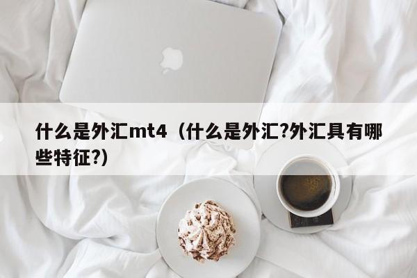 什么是外汇mt4（什么是外汇?外汇具有哪些特征?）