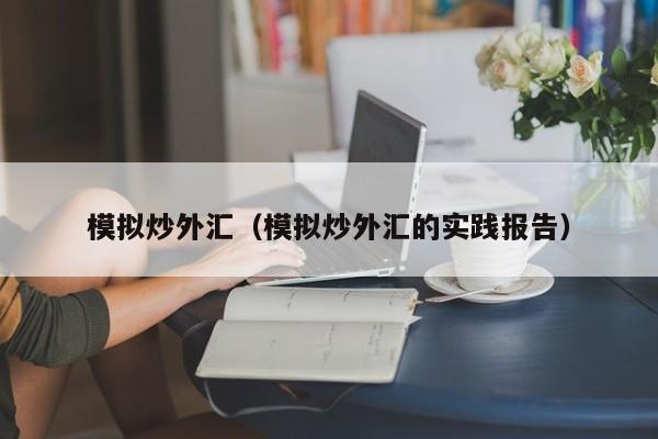 模拟炒外汇（模拟炒外汇的实践报告）