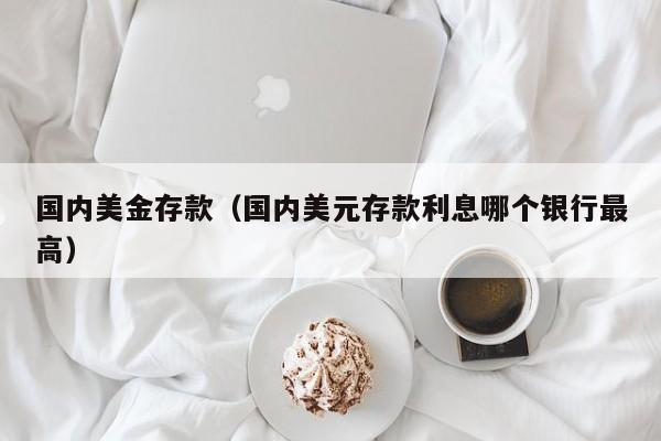 国内美金存款（国内美元存款利息哪个银行最高）