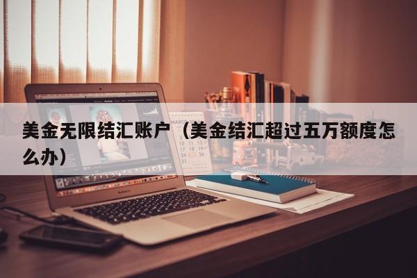 美金无限结汇账户（美金结汇超过五万额度怎么办）