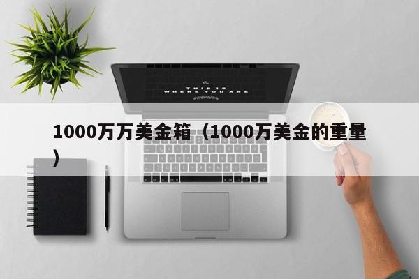 1000万万美金箱（1000万美金的重量）