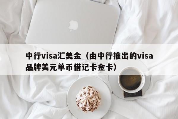 中行visa汇美金（由中行推出的visa品牌美元单币借记卡金卡）