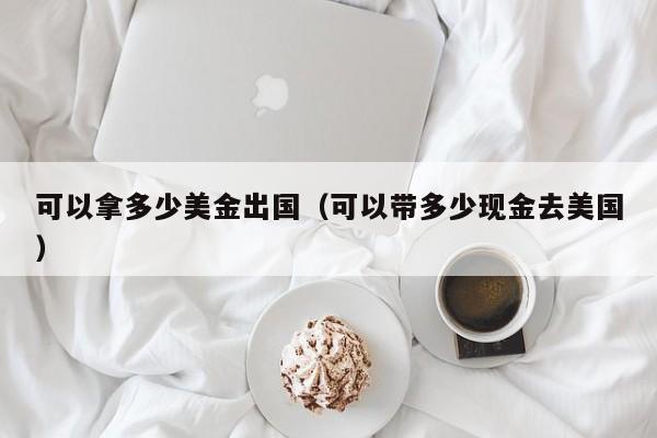 可以拿多少美金出国（可以带多少现金去美国）
