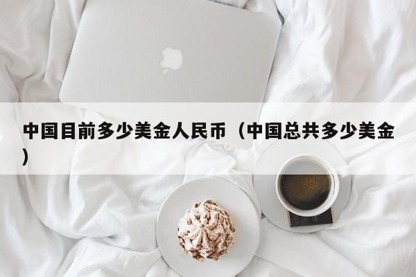 中国目前多少美金人民币（中国总共多少美金）