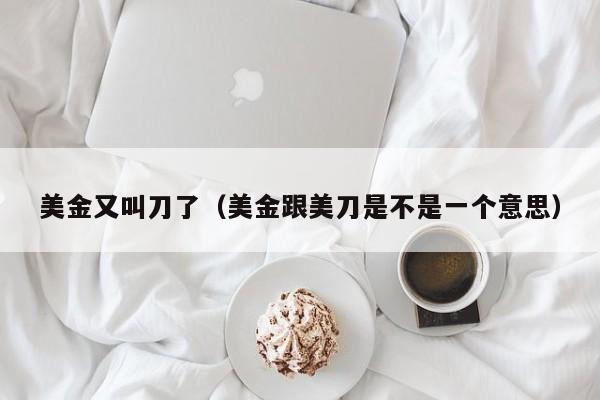美金又叫刀了（美金跟美刀是不是一个意思）