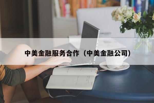 中美金融服务合作（中美金融公司）