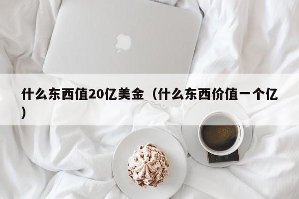 什么东西值20亿美金（什么东西价值一个亿）