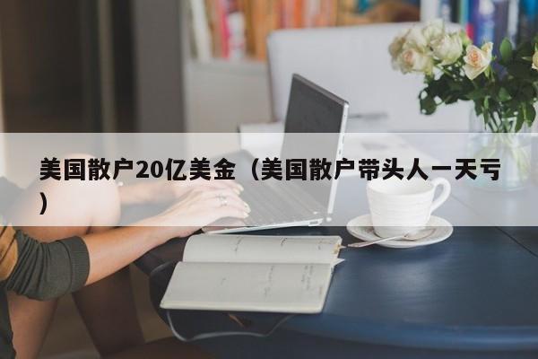 美国散户20亿美金（美国散户带头人一天亏）