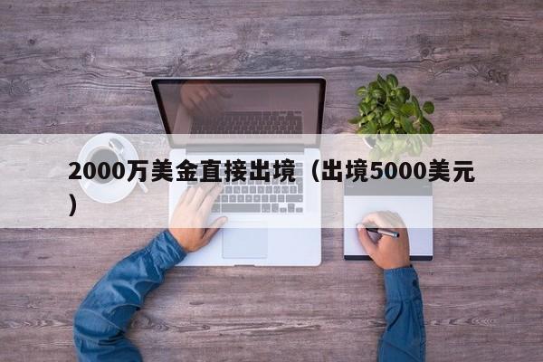 2000万美金直接出境（出境5000美元）