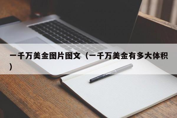 一千万美金图片图文（一千万美金有多大体积）