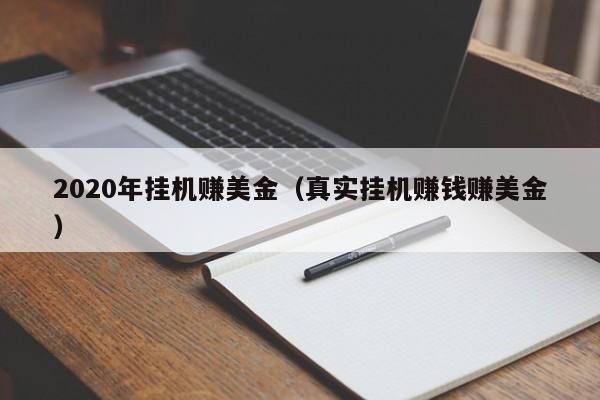 2020年挂机赚美金（真实挂机赚钱赚美金）