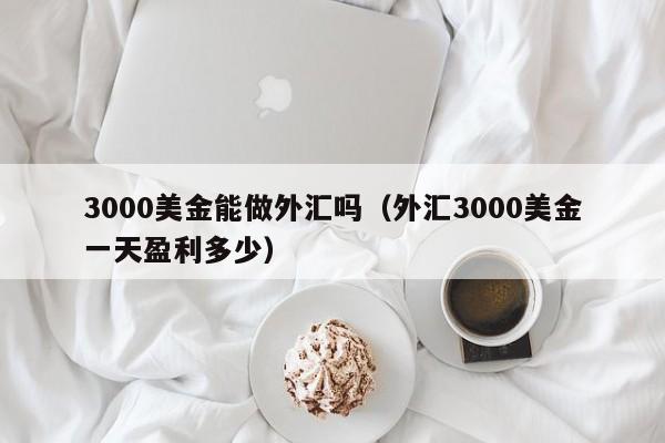 3000美金能做外汇吗（外汇3000美金一天盈利多少）