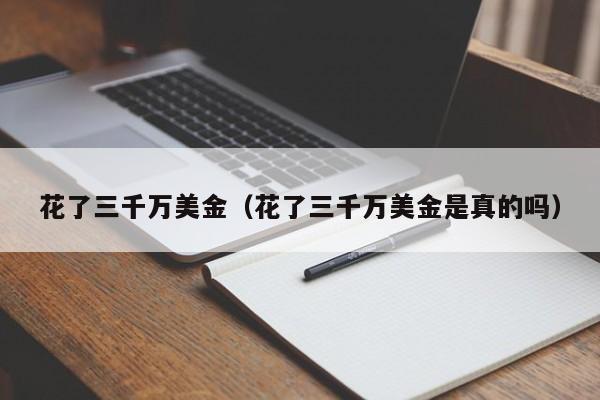 花了三千万美金（花了三千万美金是真的吗）