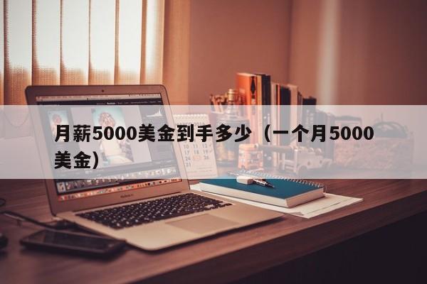 月薪5000美金到手多少（一个月5000美金）