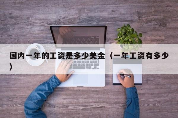 国内一年的工资是多少美金（一年工资有多少）