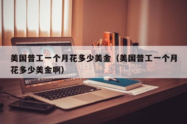 美国普工一个月花多少美金（美国普工一个月花多少美金啊）