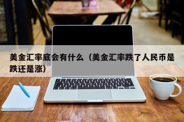 美金汇率底会有什么（美金汇率跌了人民币是跌还是涨）
