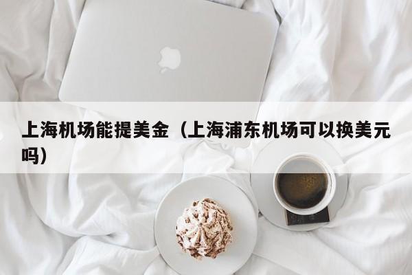 上海机场能提美金（上海浦东机场可以换美元吗）
