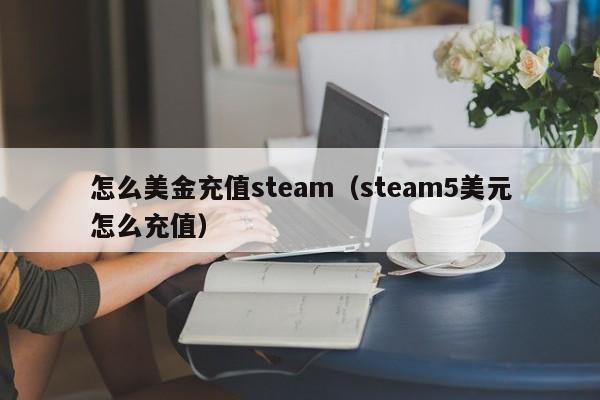 怎么美金充值steam（steam5美元怎么充值）