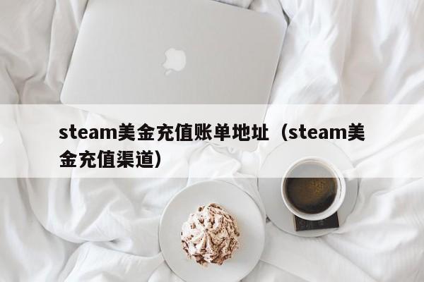 steam美金充值账单地址（steam美金充值渠道）