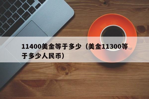 11400美金等于多少（美金11300等于多少人民币）