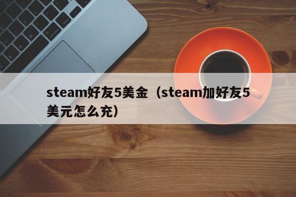 steam好友5美金（steam加好友5美元怎么充）