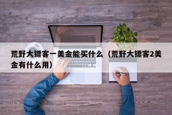 荒野大镖客一美金能买什么（荒野大镖客2美金有什么用）