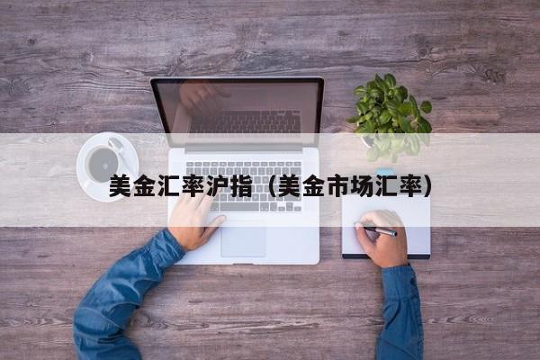 美金汇率沪指（美金市场汇率）