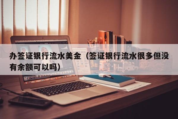 办签证银行流水美金（签证银行流水很多但没有余额可以吗）