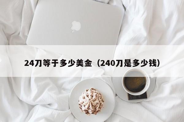 24刀等于多少美金（240刀是多少钱）
