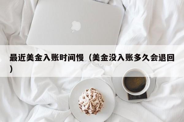 最近美金入账时间慢（美金没入账多久会退回）