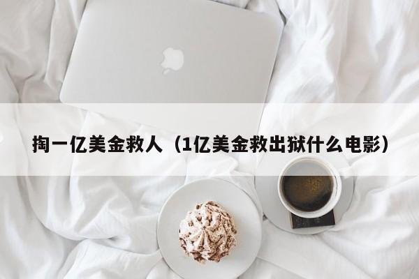 掏一亿美金救人（1亿美金救出狱什么电影）