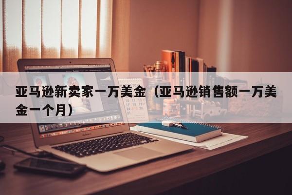 亚马逊新卖家一万美金（亚马逊销售额一万美金一个月）