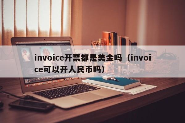 invoice开票都是美金吗（invoice可以开人民币吗）