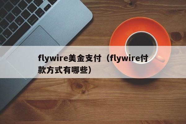 flywire美金支付（flywire付款方式有哪些）