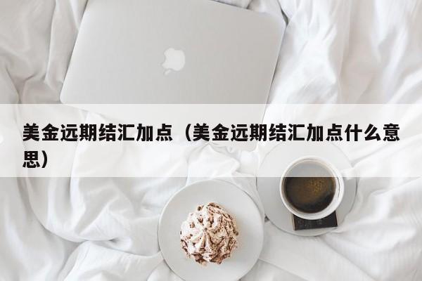 美金远期结汇加点（美金远期结汇加点什么意思）