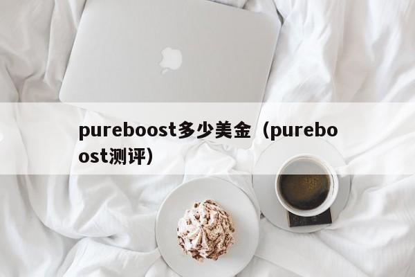 pureboost多少美金（pureboost测评）