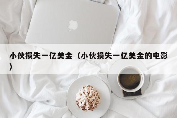 小伙损失一亿美金（小伙损失一亿美金的电影）