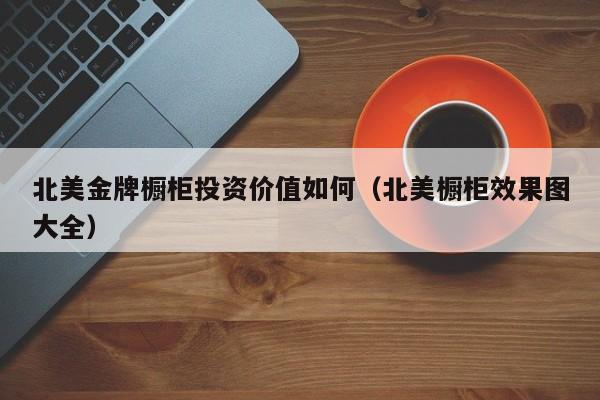 北美金牌橱柜投资价值如何（北美橱柜效果图大全）