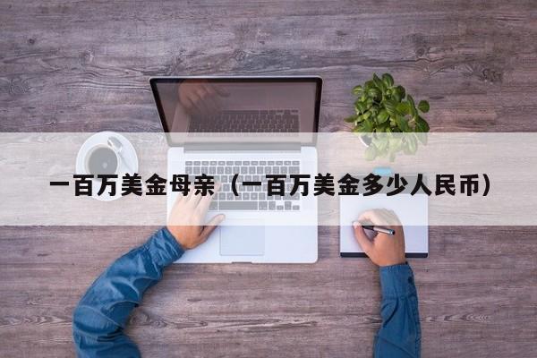 一百万美金母亲（一百万美金多少人民币）