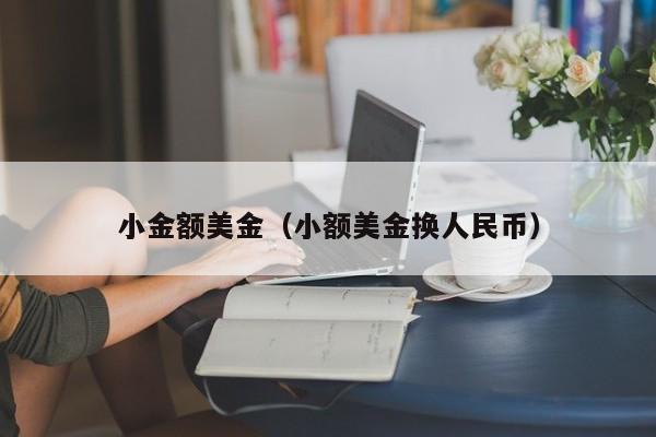 小金额美金（小额美金换人民币）