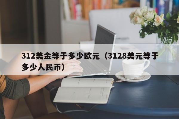 312美金等于多少欧元（3128美元等于多少人民币）