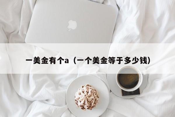 一美金有个a（一个美金等于多少钱）