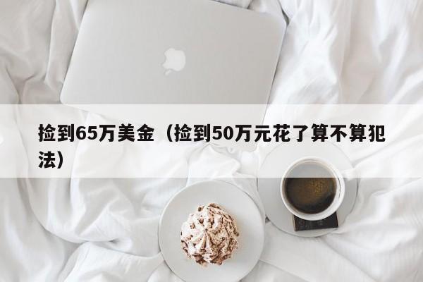 捡到65万美金（捡到50万元花了算不算犯法）
