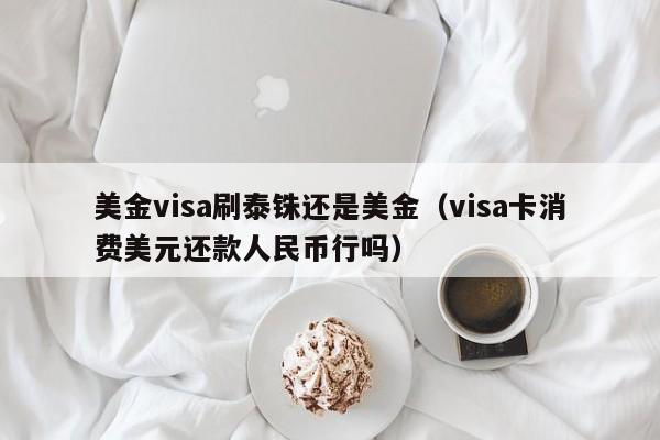 美金visa刷泰铢还是美金（visa卡消费美元还款人民币行吗）