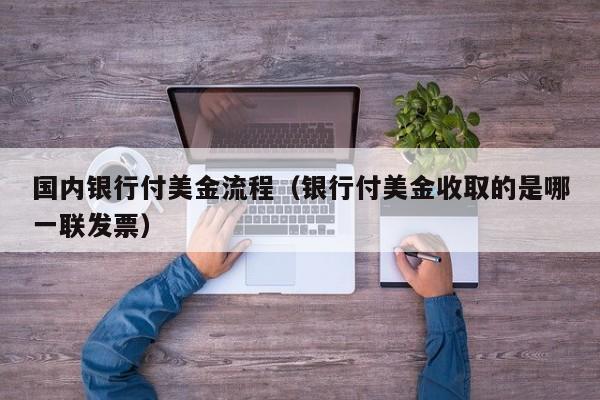 国内银行付美金流程（银行付美金收取的是哪一联发票）