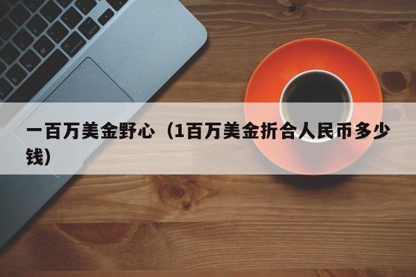 一百万美金野心（1百万美金折合人民币多少钱）