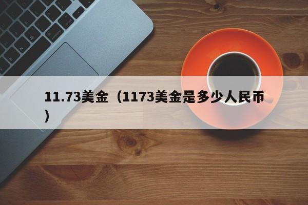11.73美金（1173美金是多少人民币）