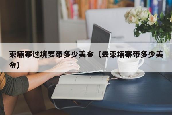 柬埔寨过境要带多少美金（去柬埔寨带多少美金）